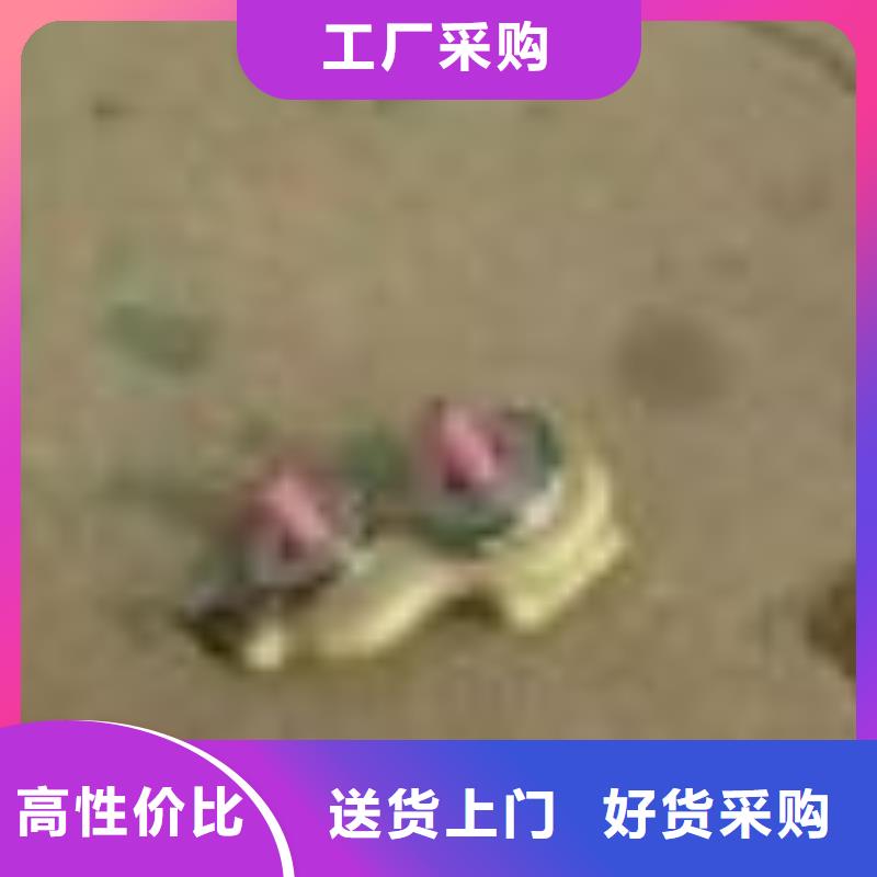 涨力盘压力盘和蜡盘装轴承转动灵活