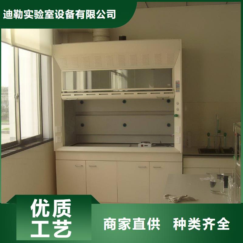 【通风柜】,气瓶柜厂家厂家定制 迪勒实验室设备(黑河市分公司)