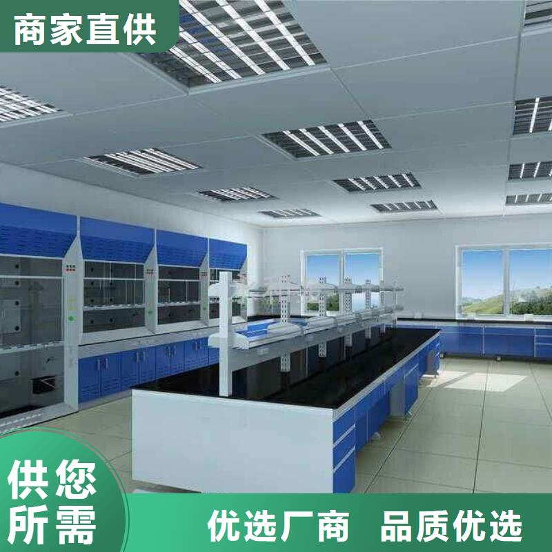 【通风柜】,气瓶柜厂家厂家定制 迪勒实验室设备(黑河市分公司)