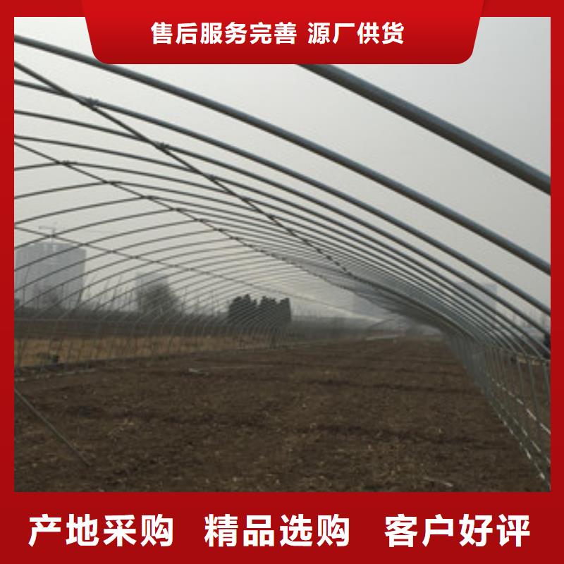 大棚管焊管种类齐全