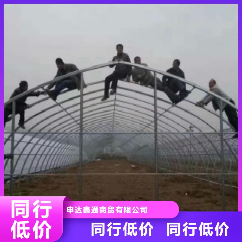 【大棚管石油裂化管买的放心安兴用的舒心】