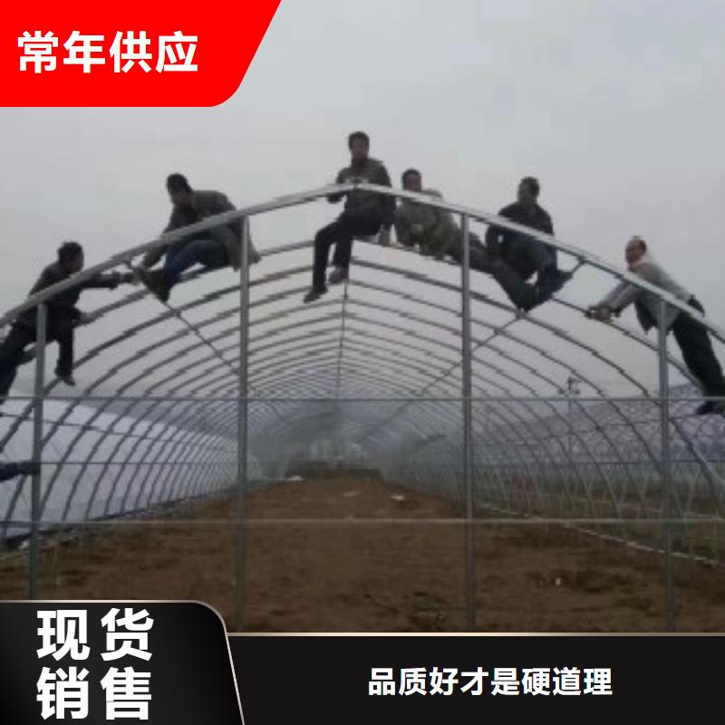 【大棚管-H型钢出货及时】