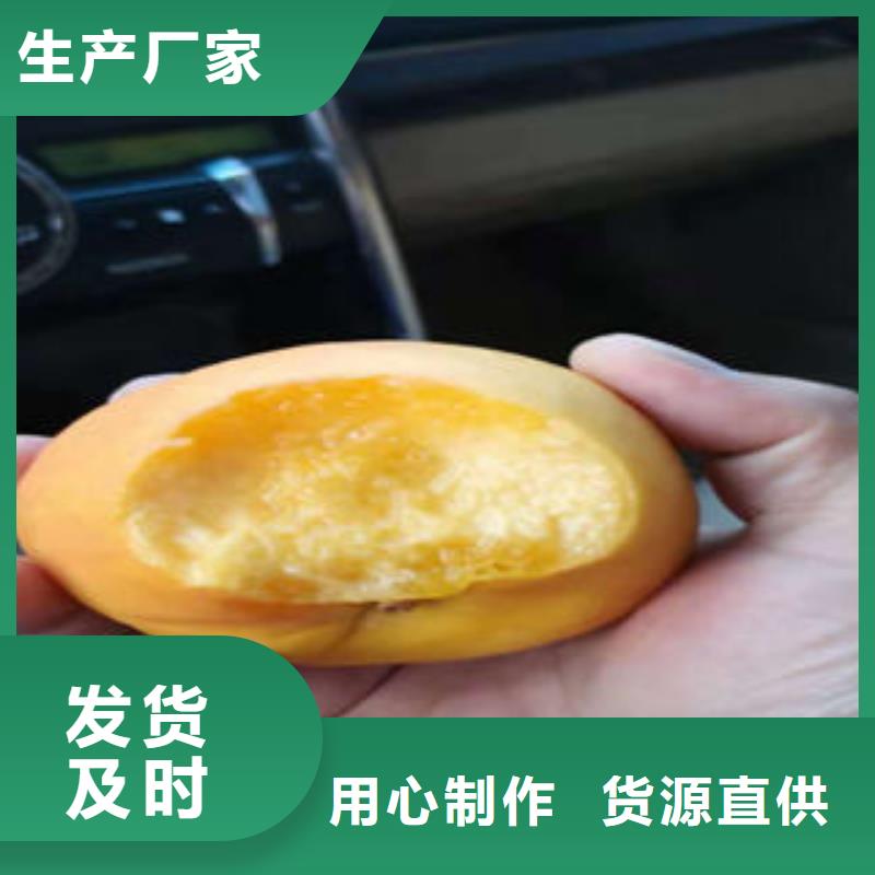 【实力优品 桃树苗-蓝莓苗源头工厂】本地咨询