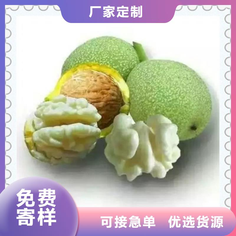 核桃苗_板栗苗认准大品牌厂家