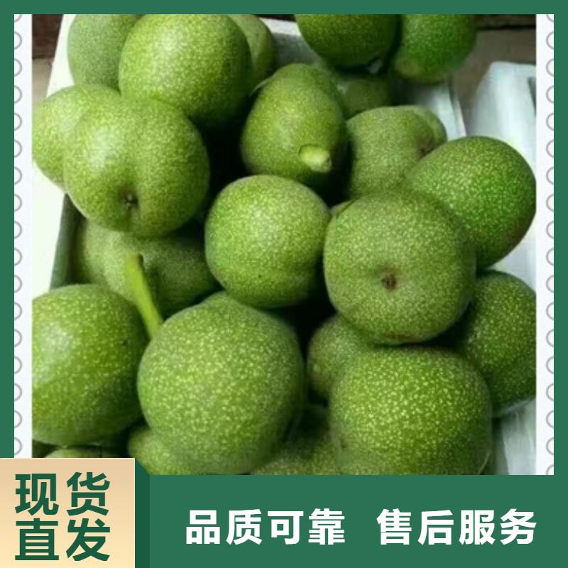 工厂直销 核桃苗_【苹果苗】实地大厂-28354.com