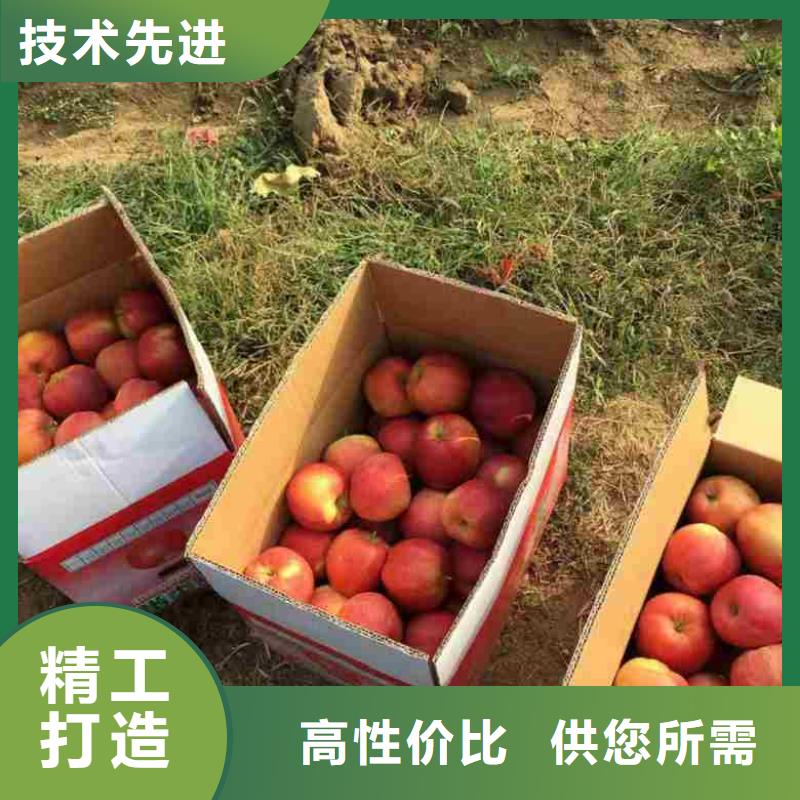 【实体厂家大量现货 苹果苗 桃树苗产地工厂】-当地用途广泛-产品资讯