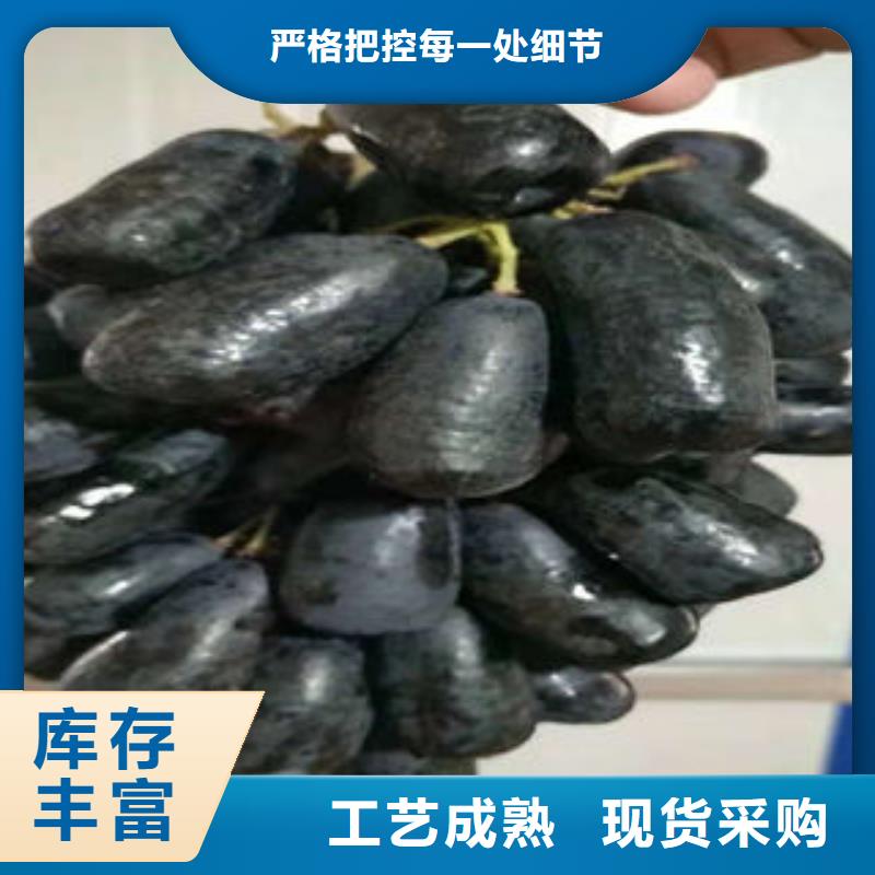 葡萄苗梨树苗产品参数