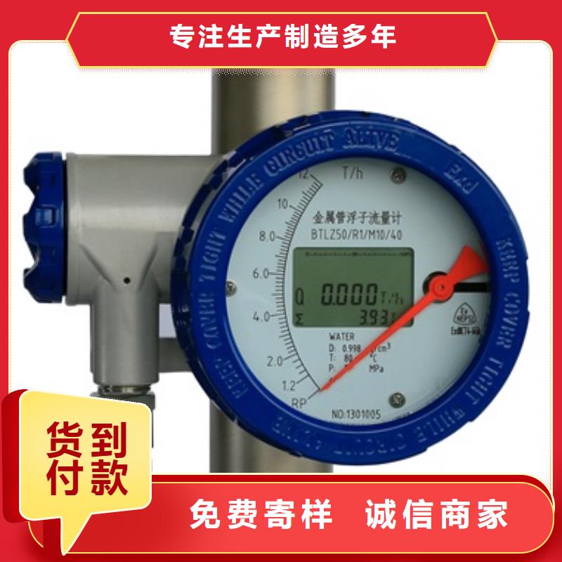 内衬PTFE金属转子流量计IRTP300L红外测温传感器好产品好服务