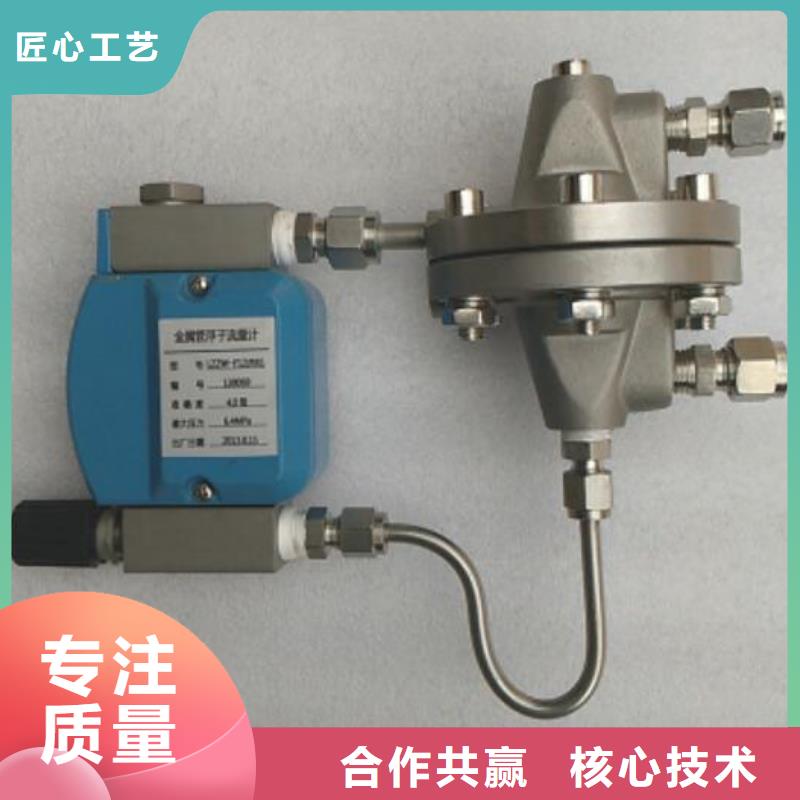 吹扫装置_微小流量计匠心品质
