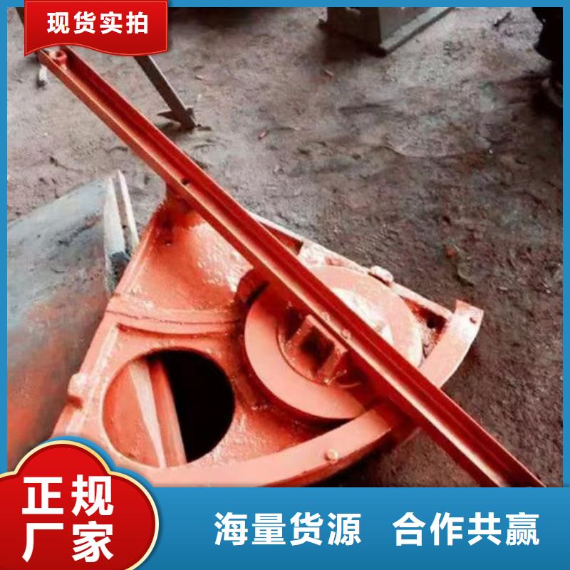 铸铁闸门,泵站铸铁闸门丰富的行业经验