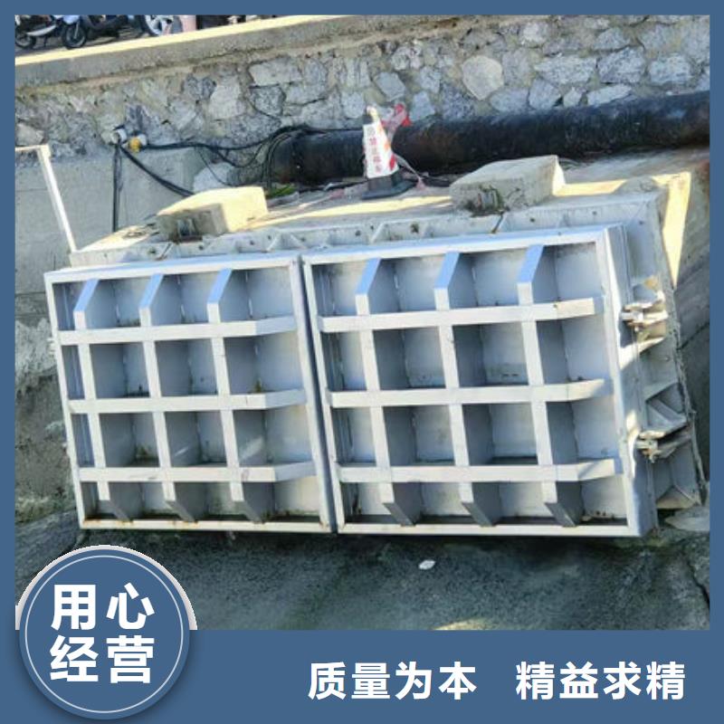 拍门钢制拍门性价比高