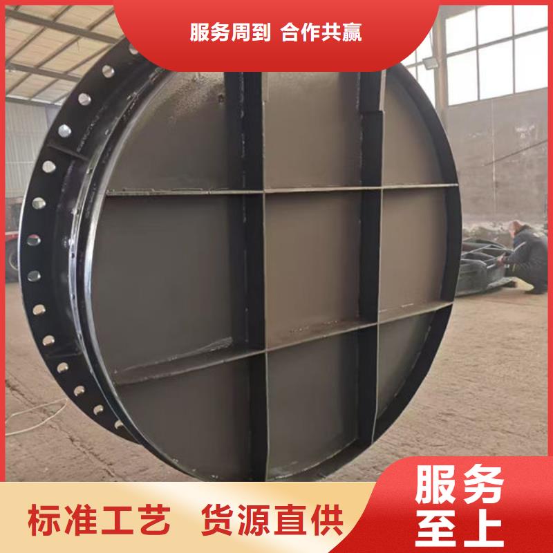 拍门球墨铸铁拍门客户满意度高