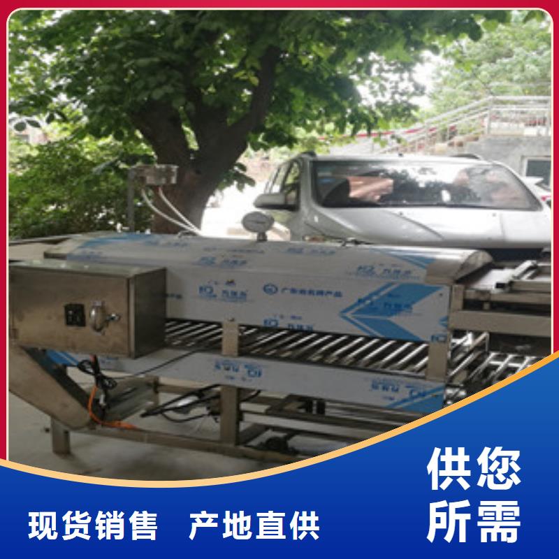 【 凉皮机鸡肉卷饼机规格齐全】当地品牌