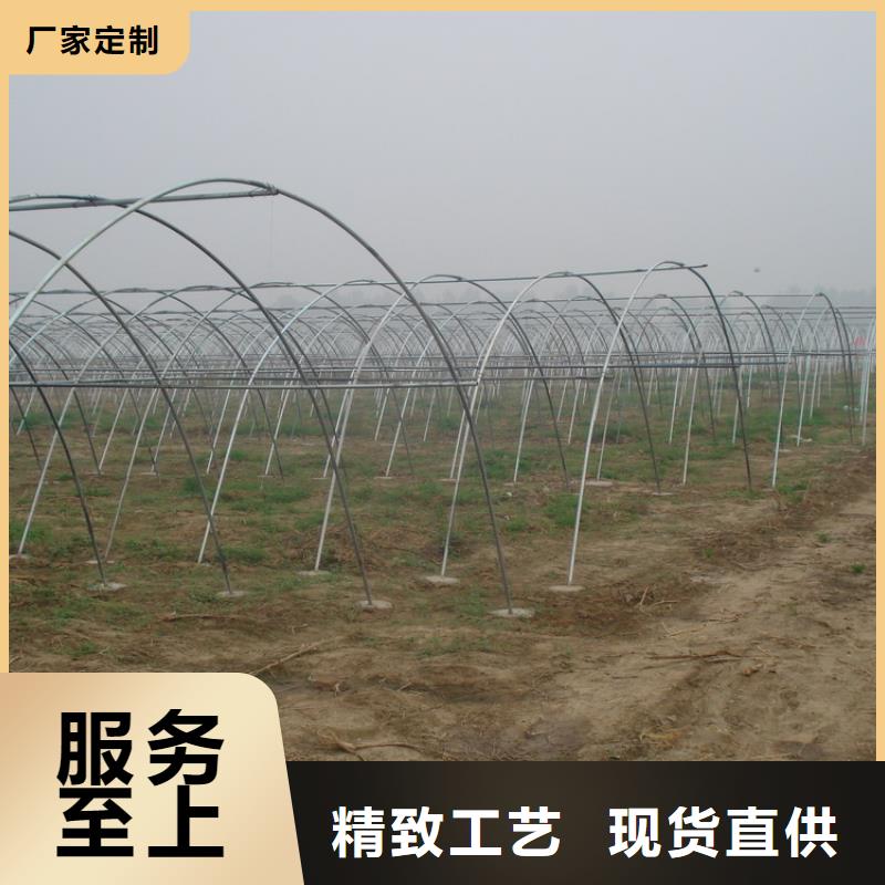 【 镀锌大棚管-镀锌扁钢精心选材】-阔恒兴旺国际贸易(合作市分公司)|覆盖地域碌曲|玛曲|酒泉|武威|平凉|陇南|白银|张掖