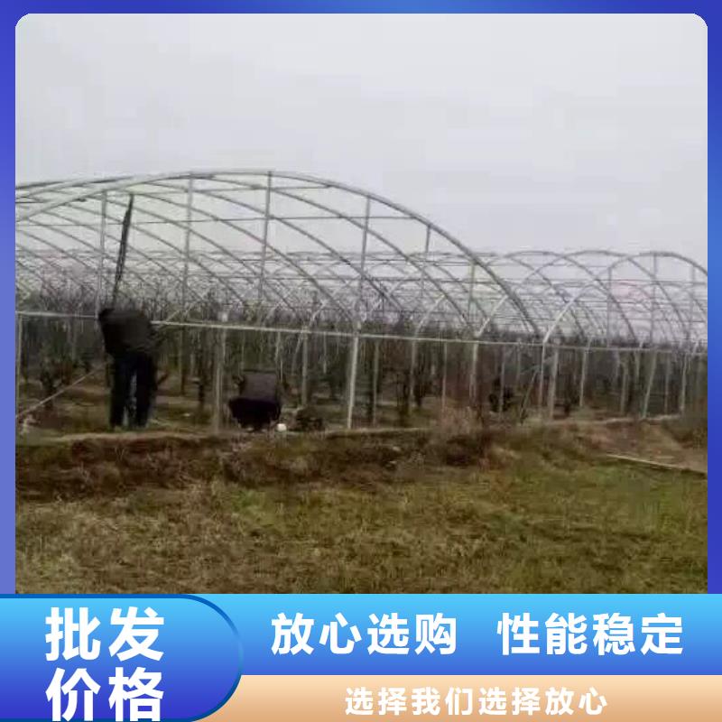 【镀锌钢管】无氧紫铜排原厂制造阔恒兴旺无氧铜棒
