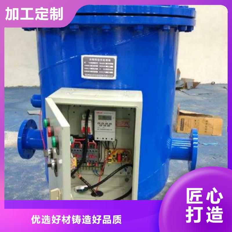 软化水装置全程综合水处理器注重细节