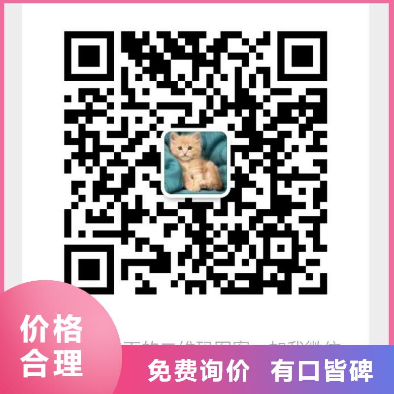 分集水器全程综合水处理器匠心打造