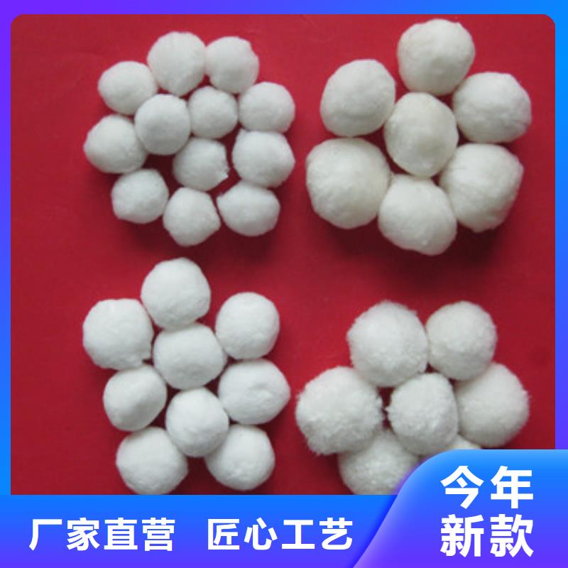 泡沫滤珠豫嵩【 纤维球,沸石拥有多家成功案例】