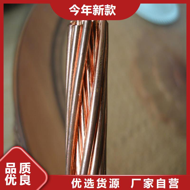 铜绞线紫铜带专业厂家