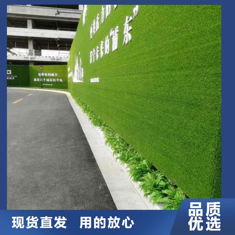 围挡草坪人造草坪围挡品质做服务
