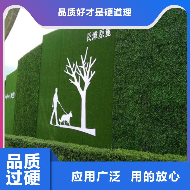 围挡草坪_人工草坪围挡源头厂家经验丰富