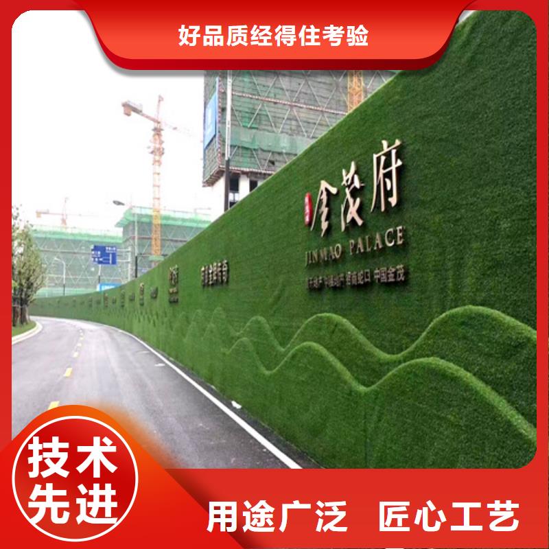 围挡草坪高品质现货销售