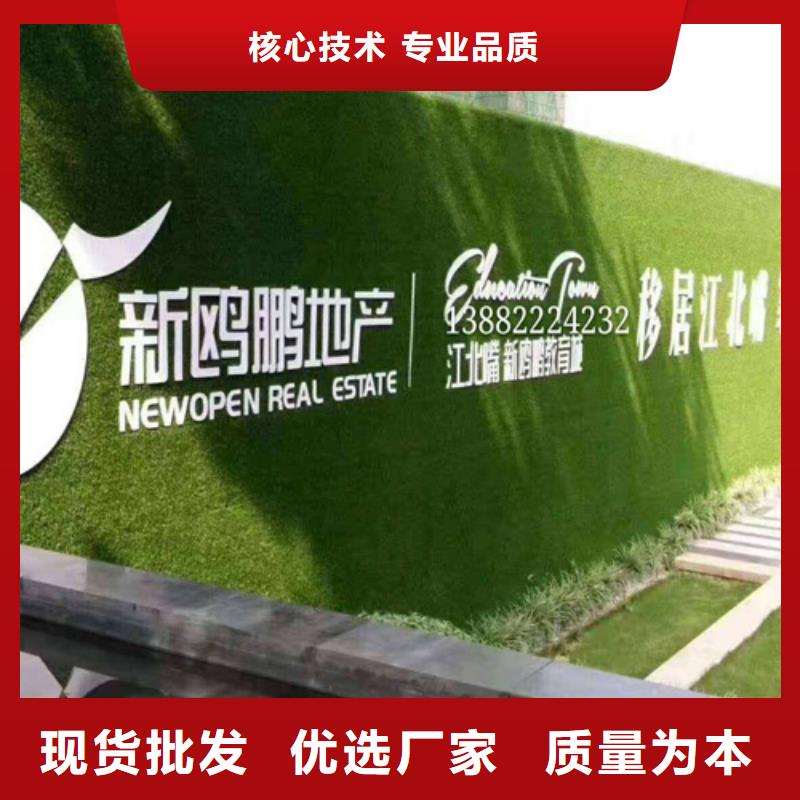 草坪围挡假草皮围挡厂家大量现货