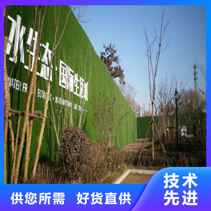 草坪围挡围挡草坪实力商家
