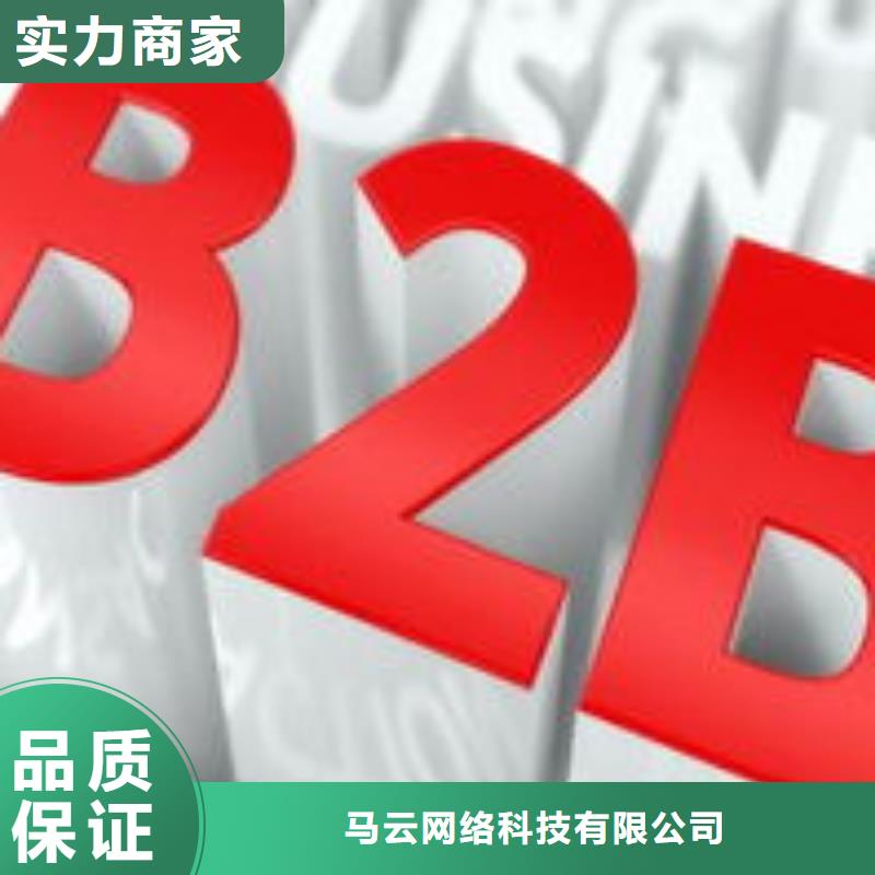 马云网络b2b平台推广2025公司