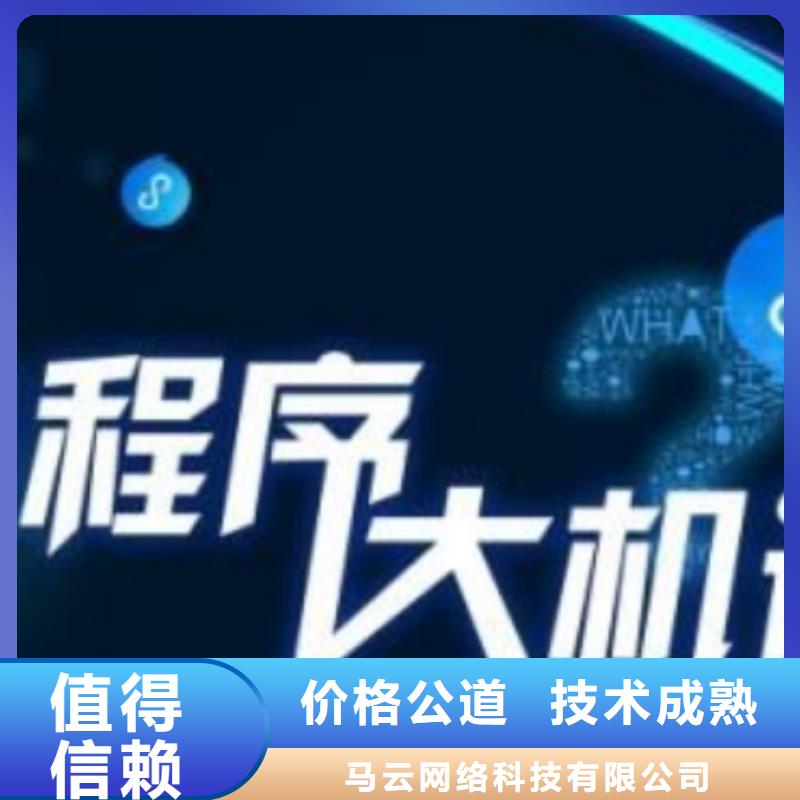 手机网络代运营正规团队