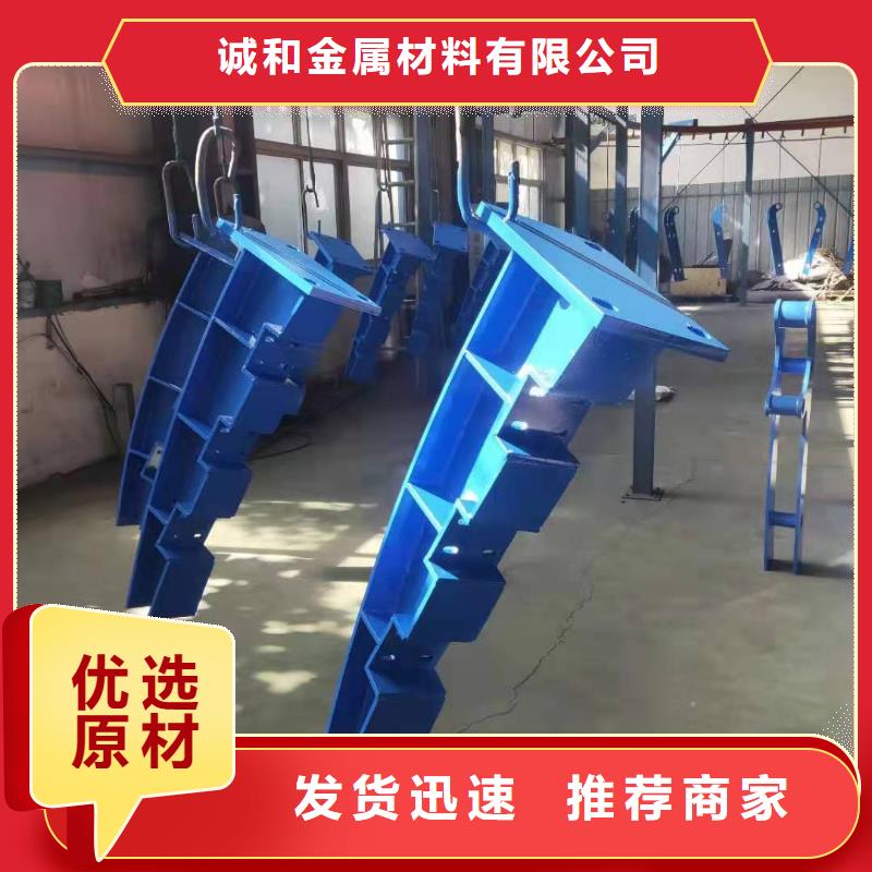 |凤城|元宝|大连|本溪|铁岭|朝阳|阜新振轩灯光护栏【桥梁护栏】厂家货源