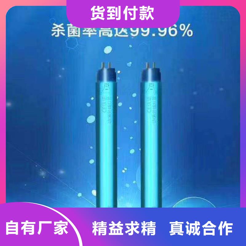 文件消毒柜 【智能档案馆】厂家采购-天弘实验仪器制造(台湾分公司)
