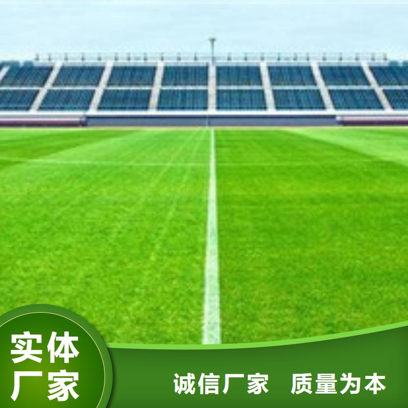 人造草坪_室内运动地板产品实拍