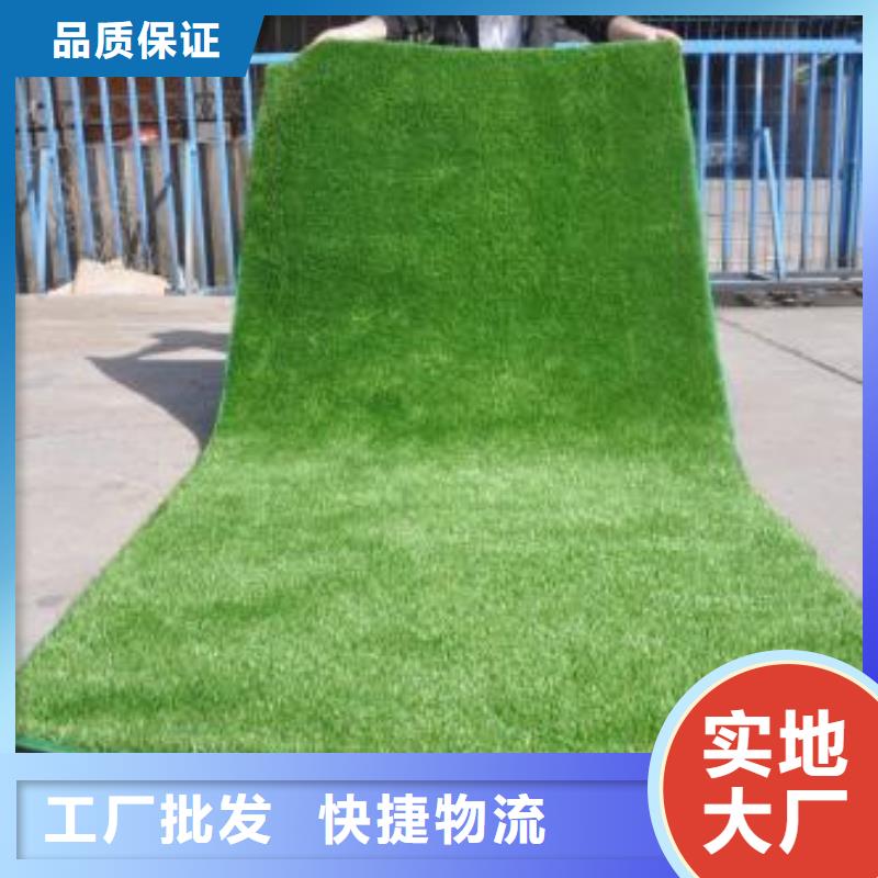 人造草坪塑胶跑道放心选购