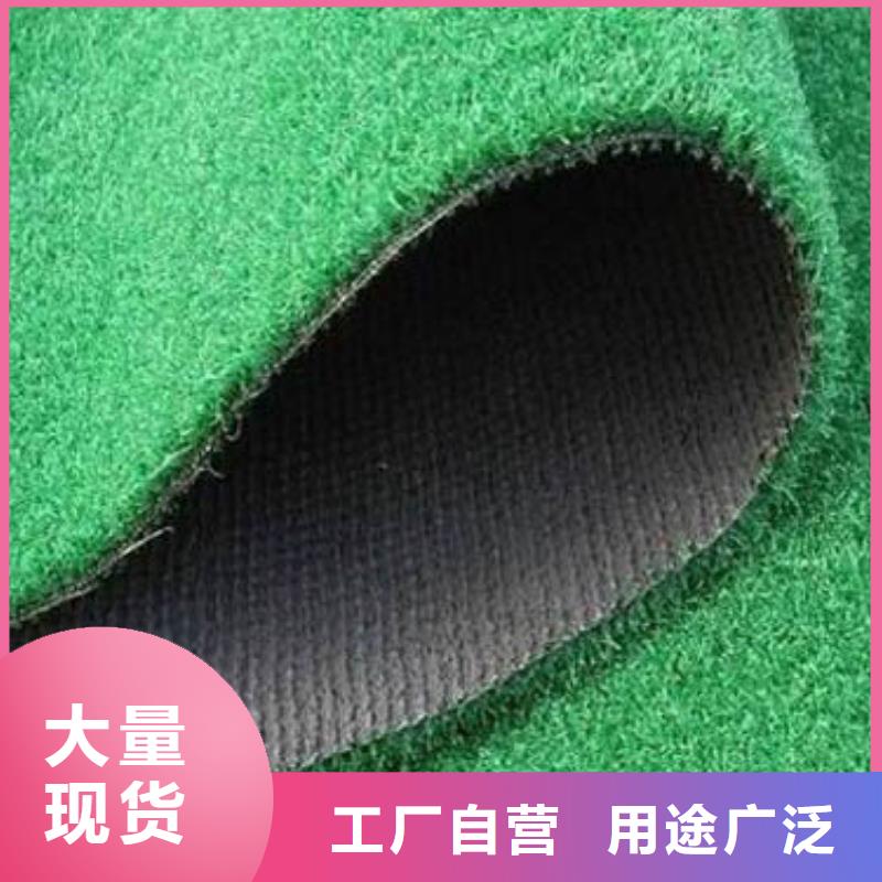 人造草坪塑胶跑道正规厂家
