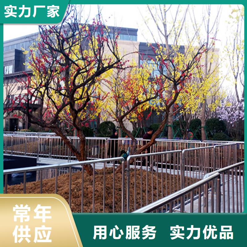 【铁马护栏出租】篷房出租租赁品质优
