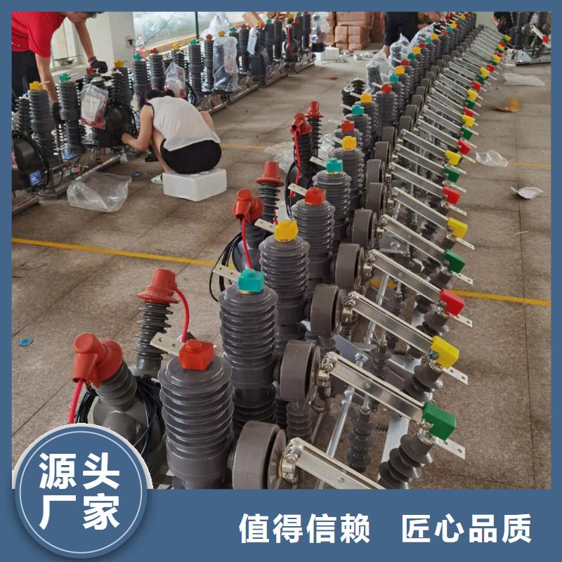 真空断路器XRNP-10KV高压限流熔断器高质量高信誉