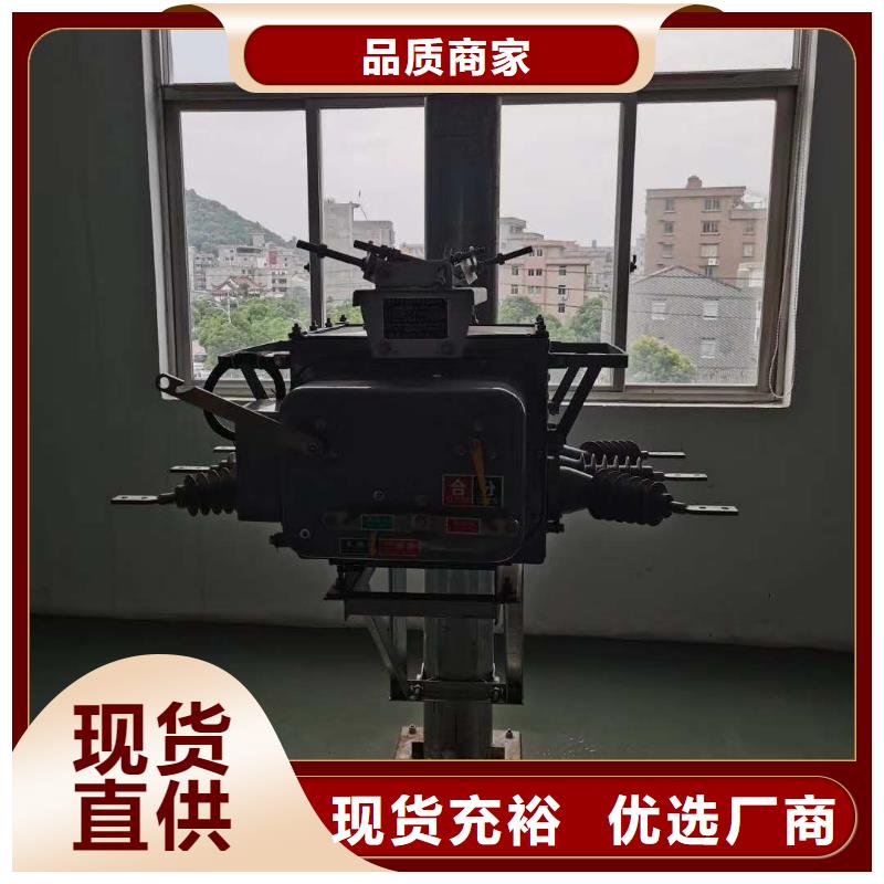 【真空断路器高压限流熔断器实体厂家支持定制】
