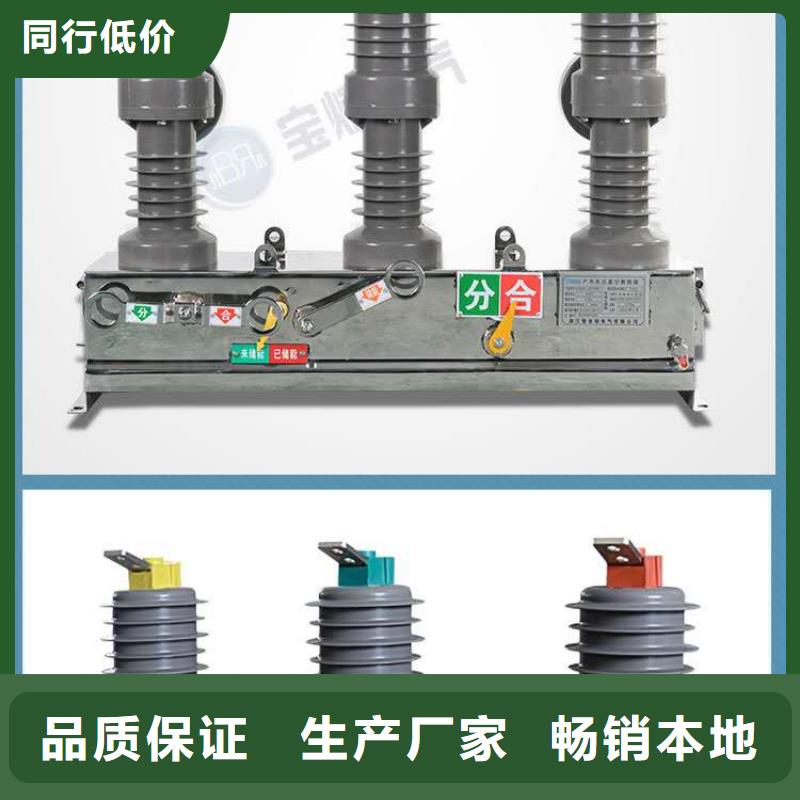 真空断路器高压限流熔断器工厂直营