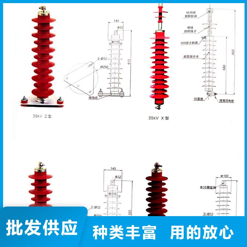 【 氧化锌避雷器高压限流熔断器一手货源源头厂家】当地供应商