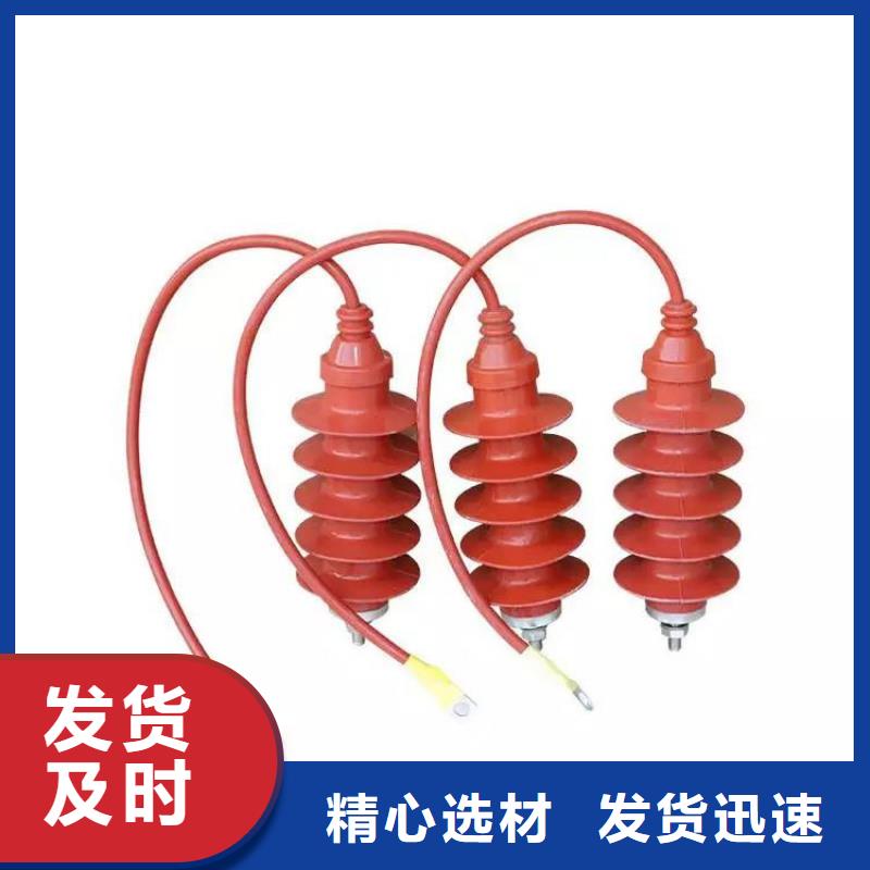 【 氧化锌避雷器高压限流熔断器一手货源源头厂家】当地供应商
