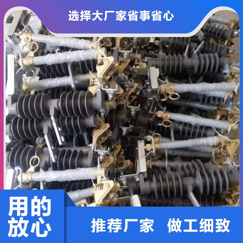 检验发货【 跌落式熔断器XRNT-12KV熔断器发货及时】