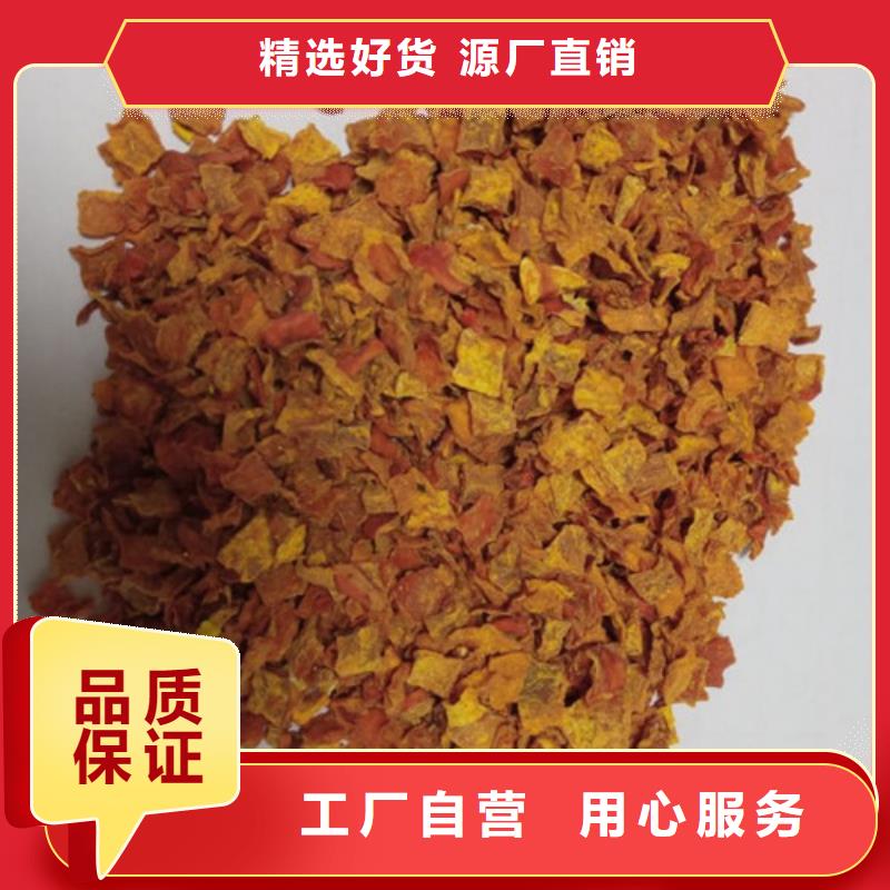 南瓜粒实力雄厚