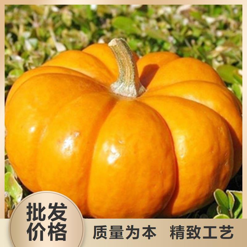 南瓜丁批发价