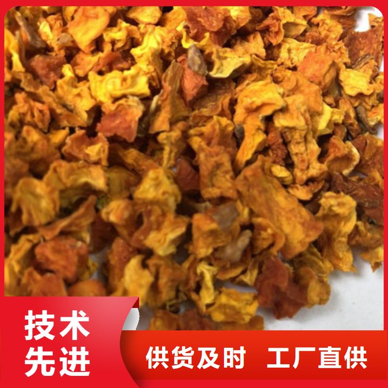 南瓜粒现货供应