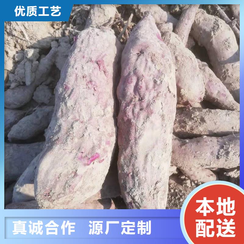 【 紫薯苗-胡萝卜粉专业生产制造厂】实力厂家