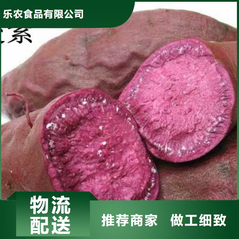 【紫薯苗】胡萝卜丁一站式采购商家