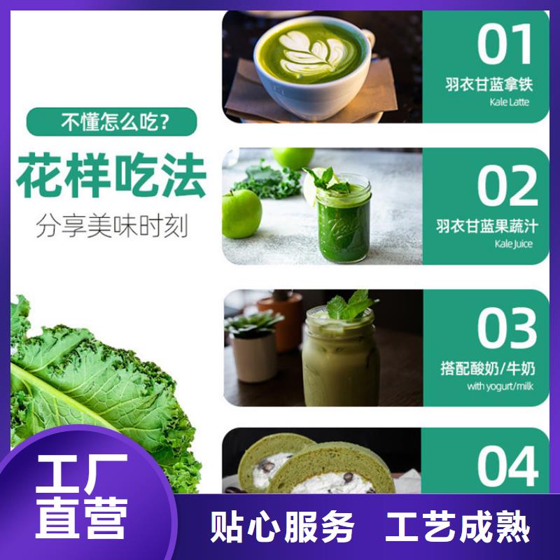 价格合理的羽衣甘蓝粉饮品销售厂家