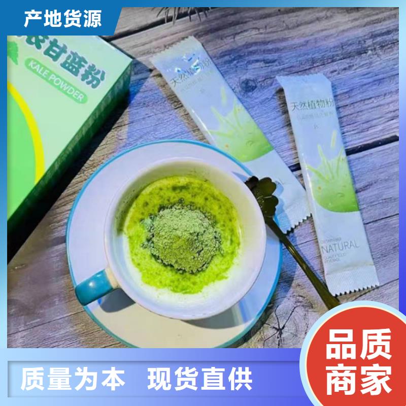 价格合理的羽衣甘蓝粉饮品销售厂家