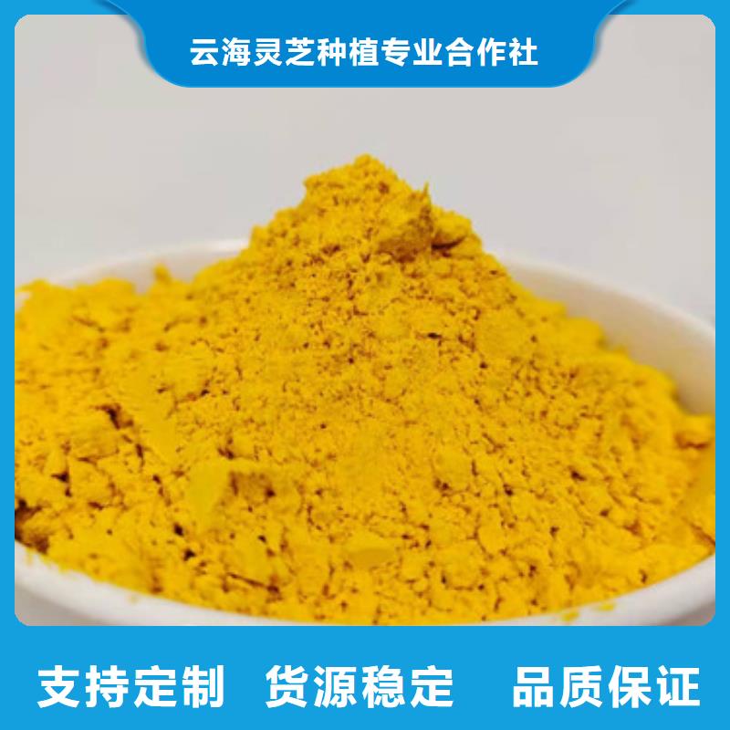 【南瓜粉灵芝切片实体厂家】